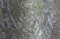 Bodedern fibreglass roof work